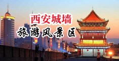 肏骚屄黄片想看中国陕西-西安城墙旅游风景区